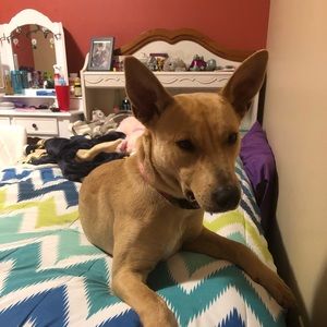 Meet your Posher, Kaitlyn